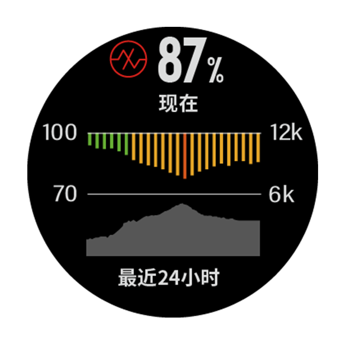 Fenix5Plus