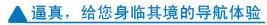 xcsport体育官方网站图片