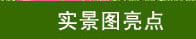 xcsport体育官方网站图片